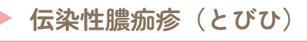 伝染性膿痂疹(とびひ)
